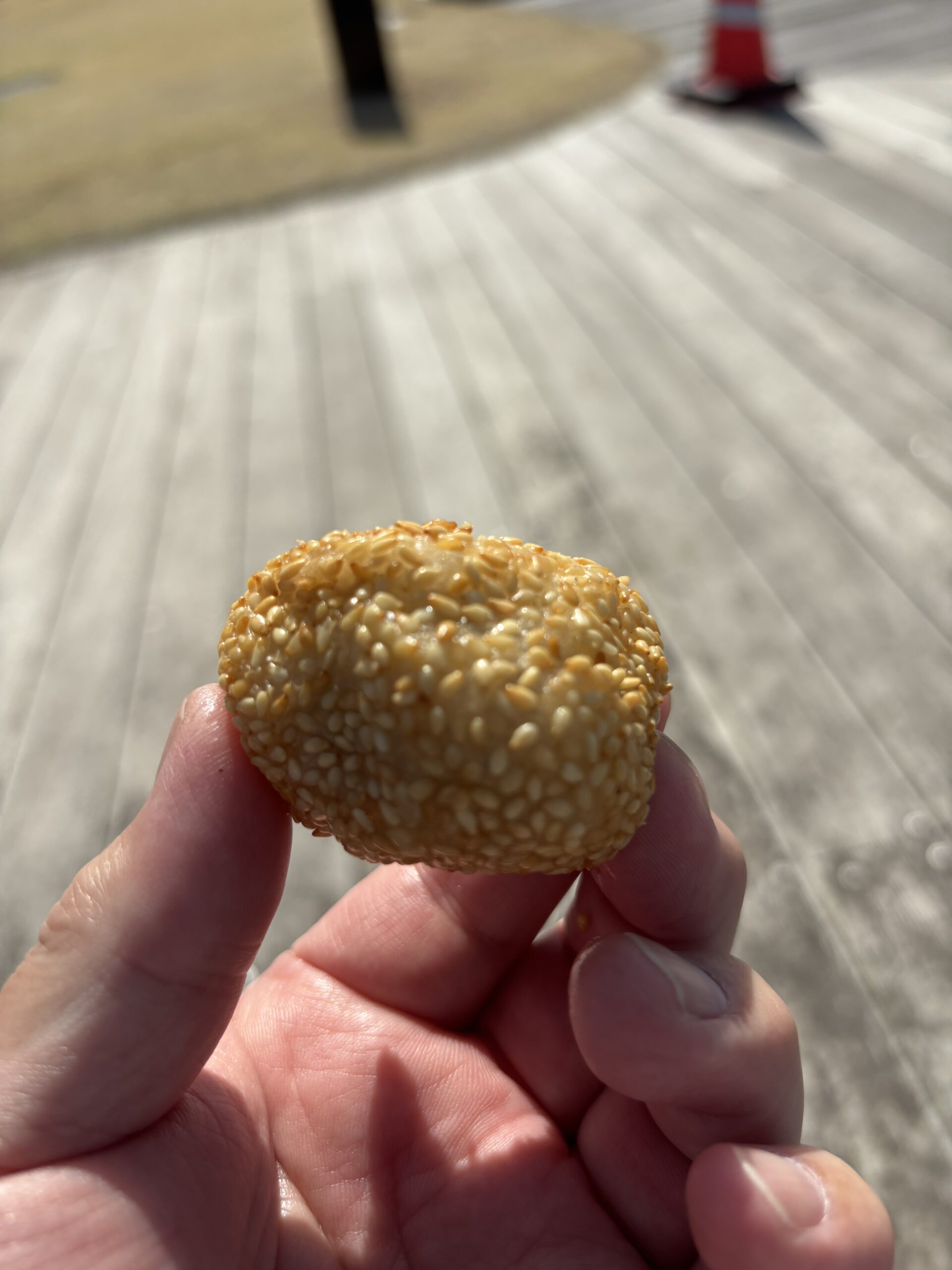 ランタン祭りで買った胡麻団子