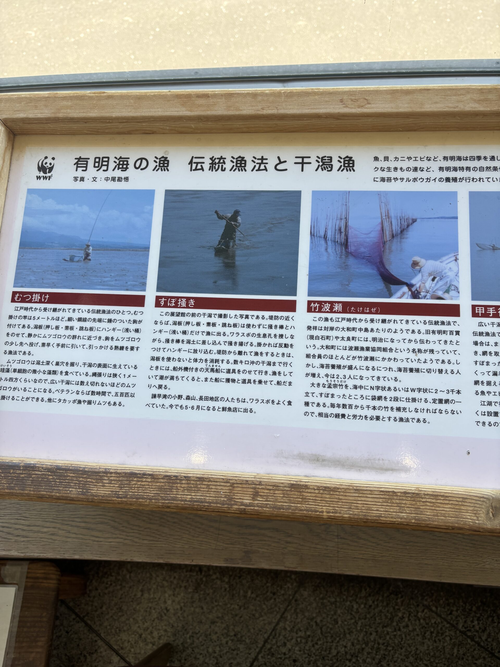 むつ掛け・すぼ掻き・竹波瀬🎋江戸時代から続く伝統漁法です🐡