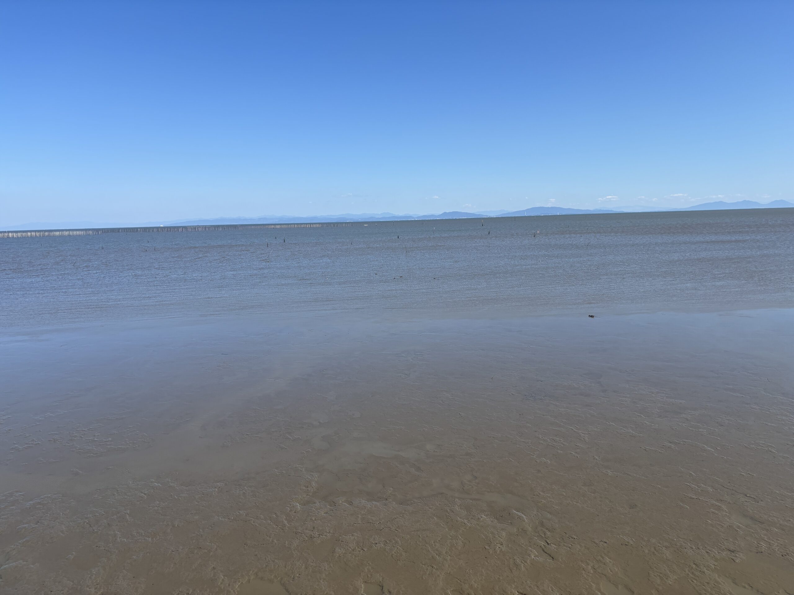 展望台から見た有明海🌊干潟がずっと遠くまで広がっています🐚