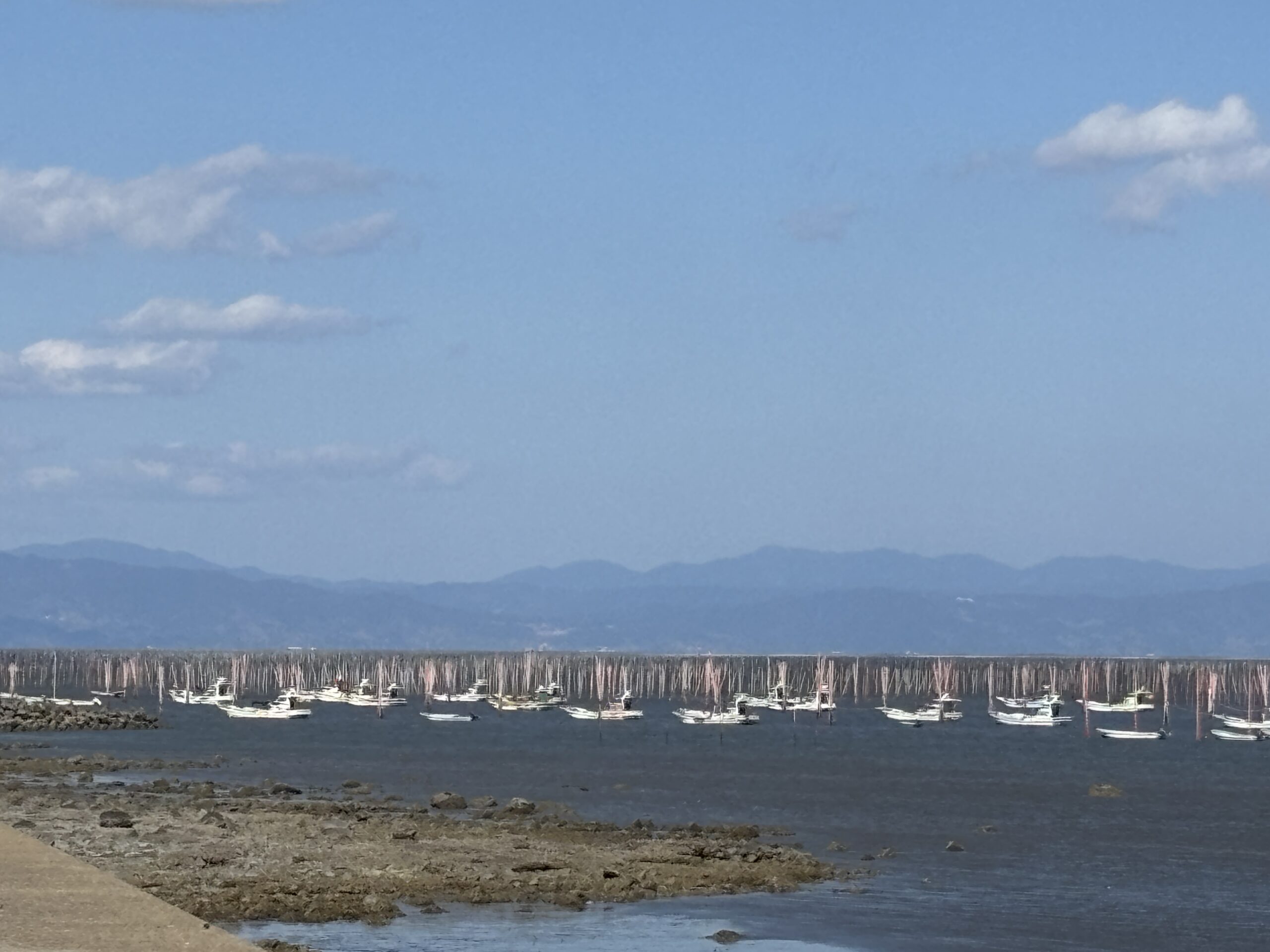 展望台の右手にとまっていた船たち🚤後ろに並ぶのは海苔ひび🍙